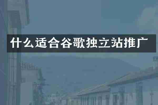 什么适合谷歌独立站推广