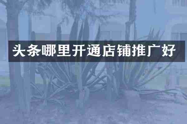 头条哪里开通店铺推广好