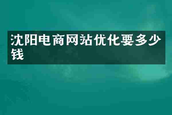 沈阳电商网站优化要多少钱