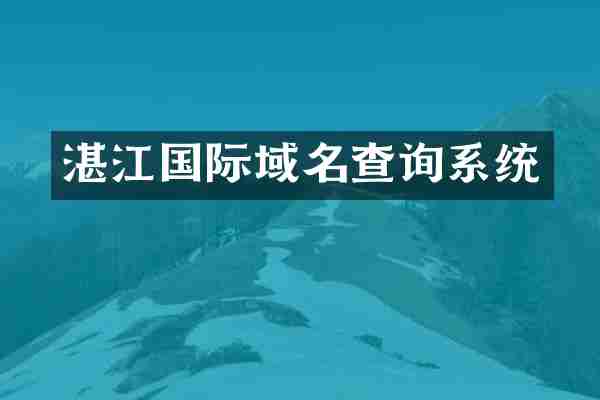 湛江国际域名查询系统