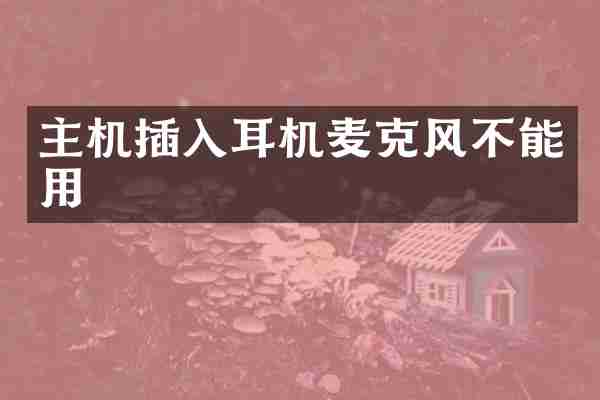 主机插入耳机麦克风不能用