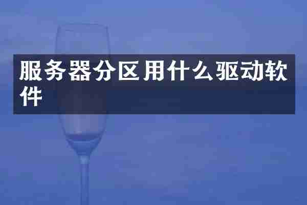 服务器分区用什么驱动软件
