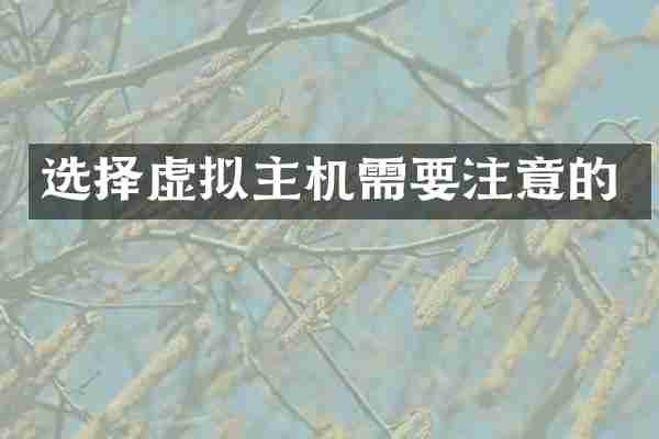 选择虚拟主机需要注意的