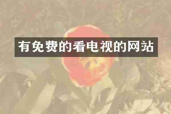 有免费的看电视的网站