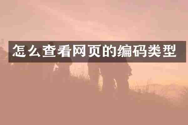 怎么查看网页的编码类型