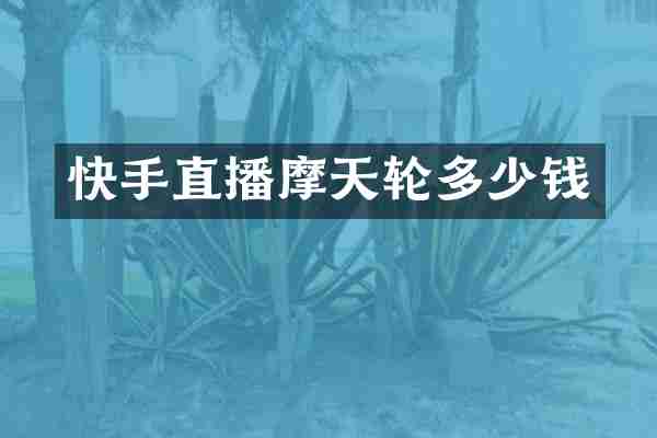 快手直播摩天轮多少钱