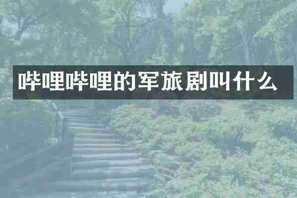 哔哩哔哩的军旅剧叫什么