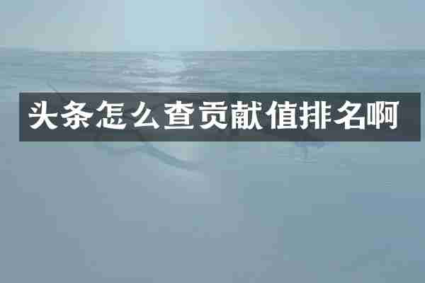 头条怎么查贡献值排名啊