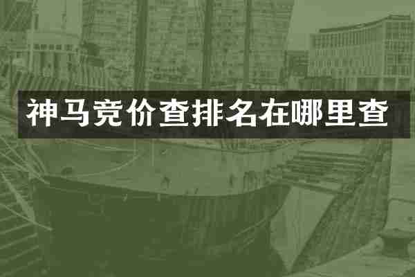 神马竞价查排名在哪里查