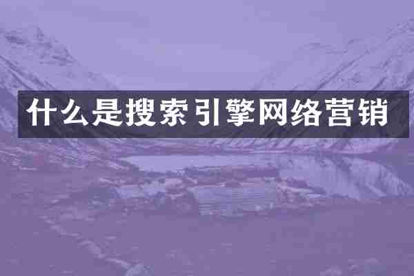 什么是搜索引擎网络营销