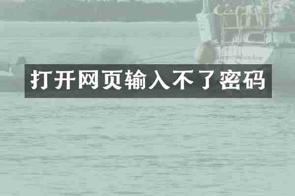 打开网页输入不了密码