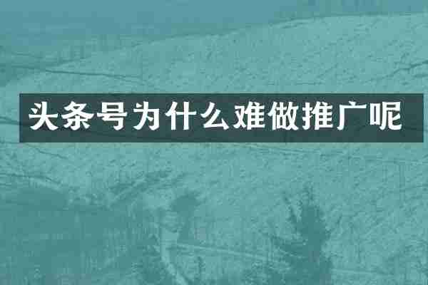 头条号为什么难做推广呢