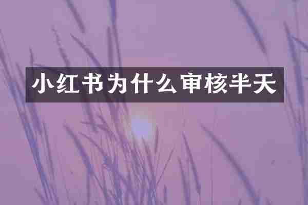 小红书为什么审核半天