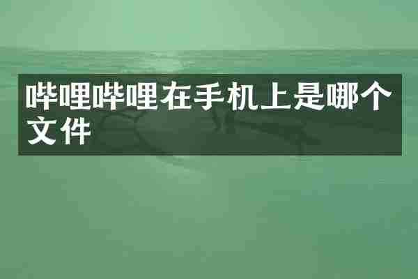 哔哩哔哩在手机上是哪个文件