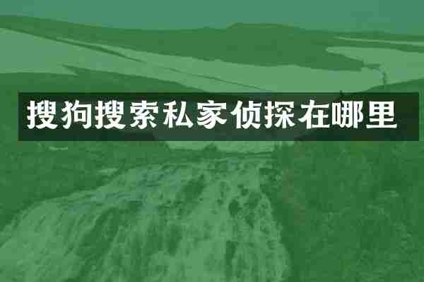 搜狗搜索私家侦探在哪里