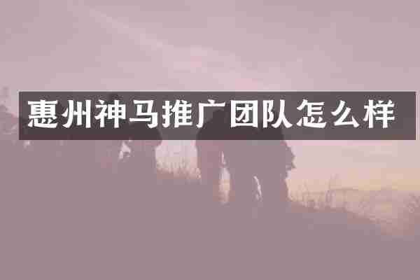 惠州神马推广团队怎么样