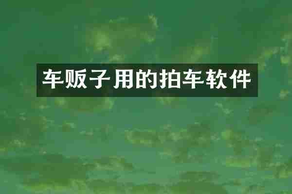 车贩子用的拍车软件