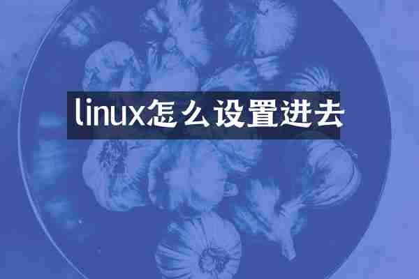 linux怎么设置进去