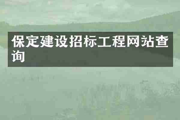 保定建设招标工程网站查询
