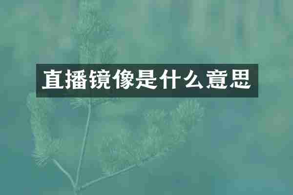 直播镜像是什么意思