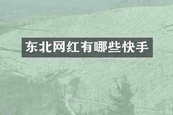 东北网红有哪些快手