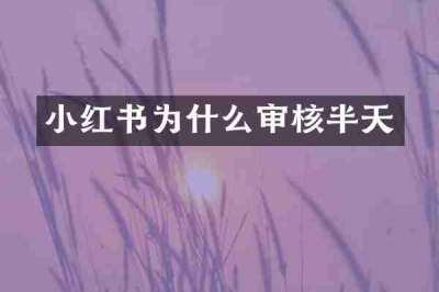 小红书为什么审核半天