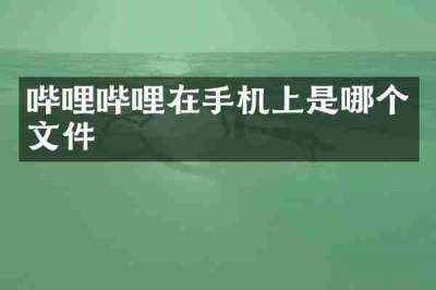 哔哩哔哩在手机上是哪个文件