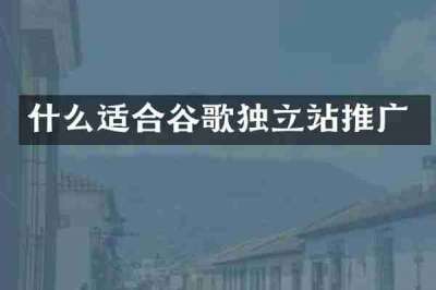 什么适合谷歌独立站推广
