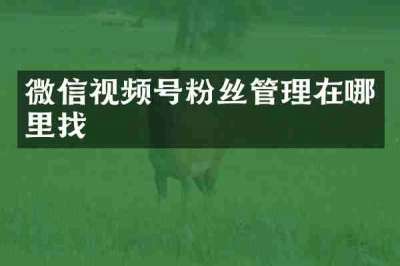 微信视频号粉丝管理在哪里找
