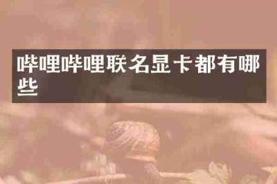 哔哩哔哩联名显卡都有哪些