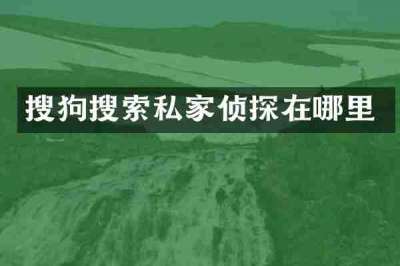搜狗搜索私家侦探在哪里