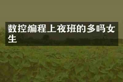 数控编程上夜班的多吗女生
