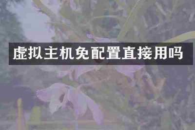 虚拟主机免配置直接用吗