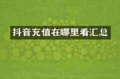 抖音充值在哪里看汇总