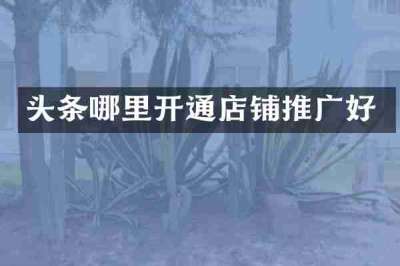 头条哪里开通店铺推广好