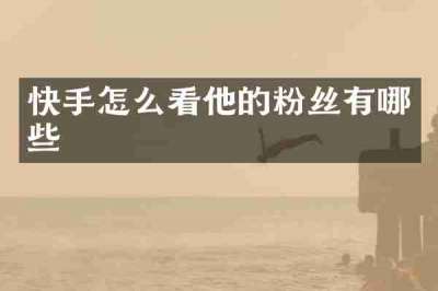 快手怎么看他的粉丝有哪些
