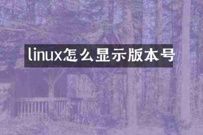linux怎么显示版本号