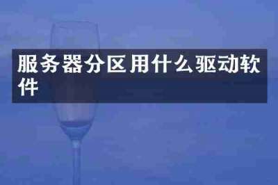 服务器分区用什么驱动软件