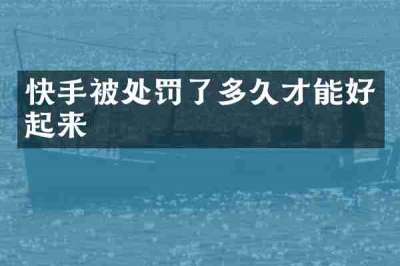 快手被处罚了多久才能好起来