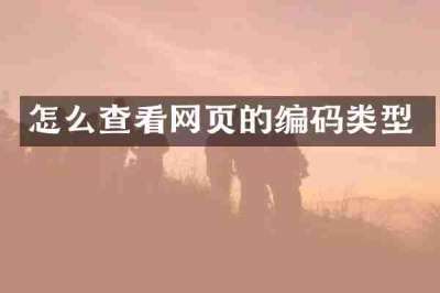 怎么查看网页的编码类型