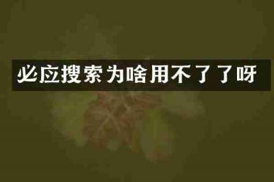 必应搜索为啥用不了了呀