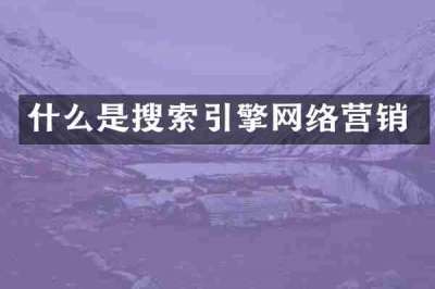 什么是搜索引擎网络营销