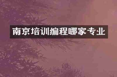 南京培训编程哪家专业