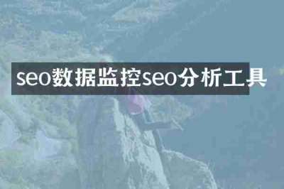 seo数据监控seo分析工具