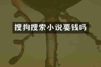 搜狗搜索小说要钱吗