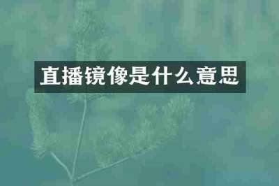 直播镜像是什么意思