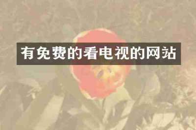 有免费的看电视的网站