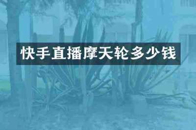 快手直播摩天轮多少钱
