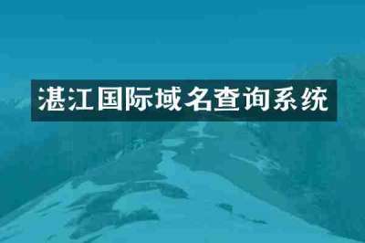 湛江国际域名查询系统