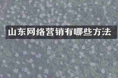 山东网络营销有哪些方法